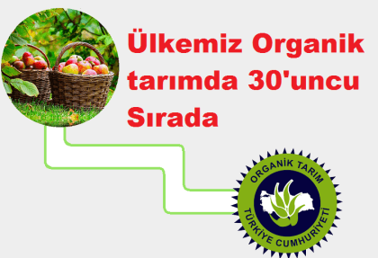 Ülkemiz Organik tarımda 30'uncu Basamakta